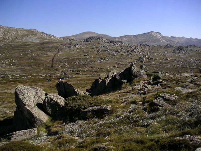 Mt Kosciuszko NP & Potato Point (NSW)