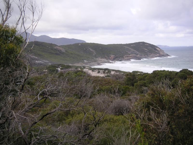 Wilson's Promontory & Phillip Island (Vic)