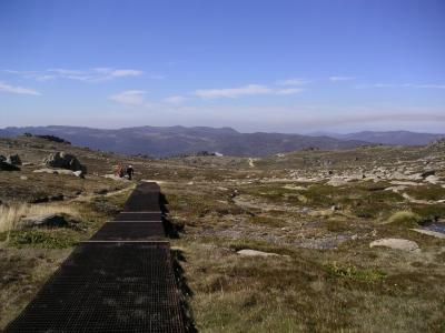 Walkway to protect the fragile flora