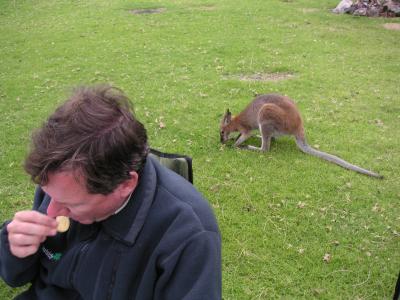 The boys eating together