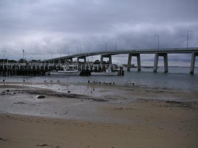 Bridge to Phillip Island