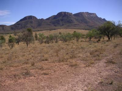 Naracoorte & Flinders Ranges NP (SA)