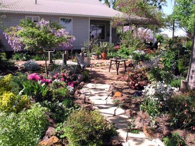 Garden Hill Iris Farms
