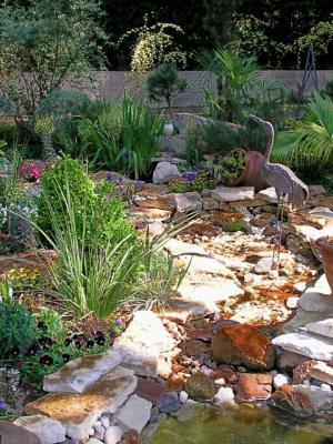 Water garden at Oasis