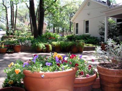 Perennial Retreat
