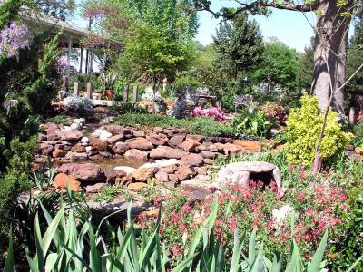 Garden Hill Iris Farm