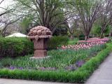 Tulip bed