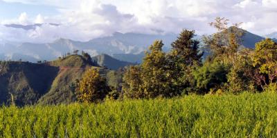 Nuwakoti Landscape, Siruwari Balami Gau