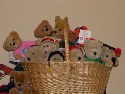 Ellens-Bears.jpg