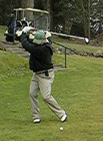 u43/mrubin/upload/39707818.swinger2.gif