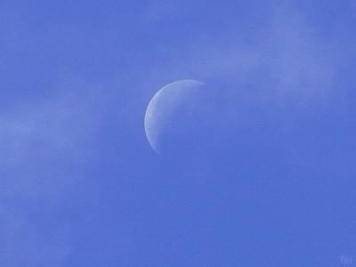 Moon in the daytime.jpg