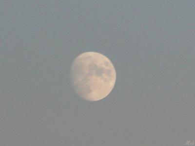Moon in daylight.jpg(326)