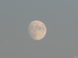 Moon in daylight.jpg(326)