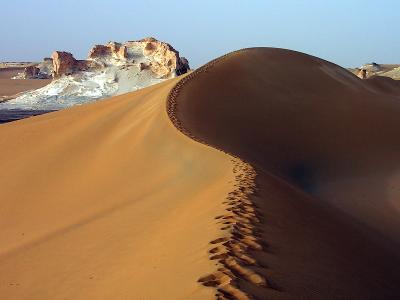 1st: Dune Top Walk I (update) by Fritz Kurt