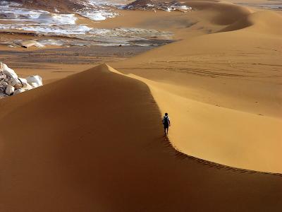 3rd: Dune Top Walk II by Fritz Kurt