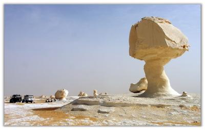 Desert Mushroom I by Fritz Kurt