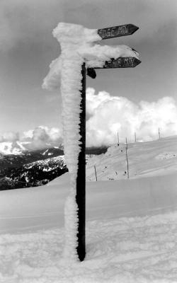 Top of Whistler