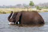 Crossing the river