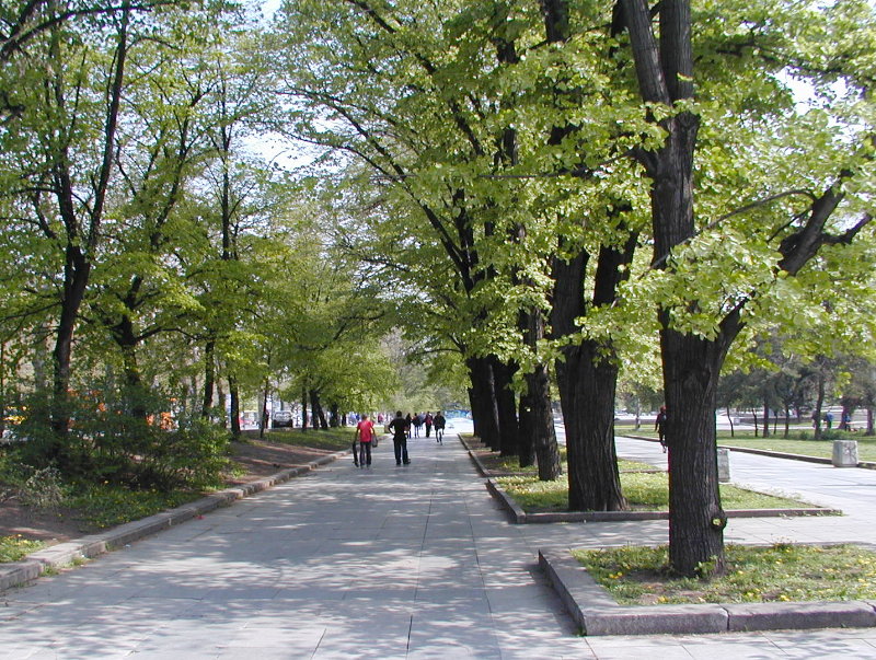 sP4190485.JPG