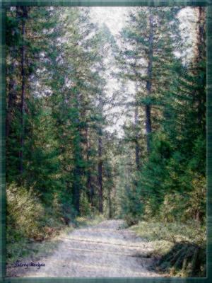 The Road to Camp
