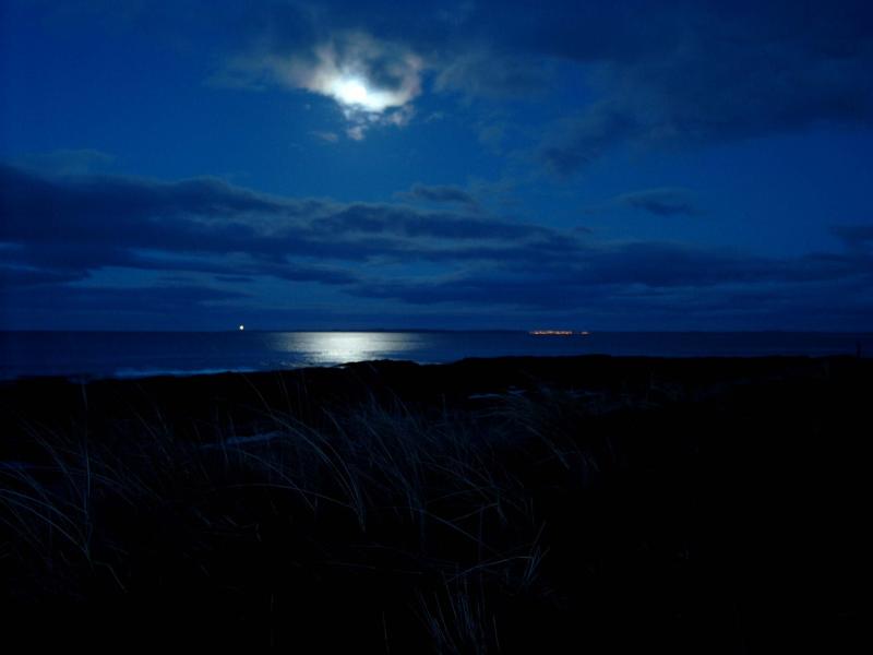 7th April, Dornoch Firth