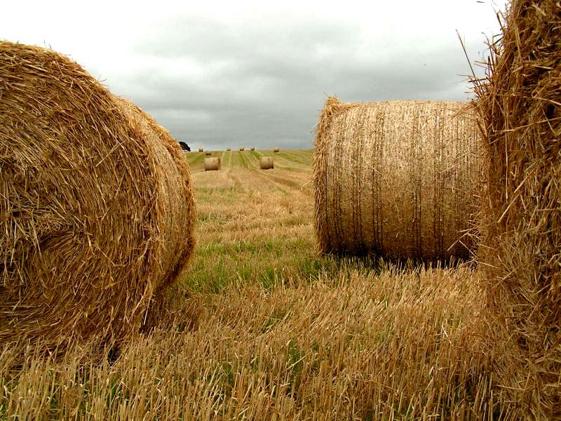 Pict0023.jpg