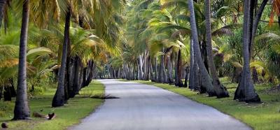 tradexroad