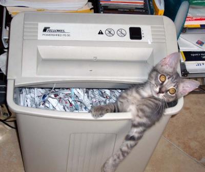 Quincy Discovers the Shredder-Don't Worry It's Unplugged