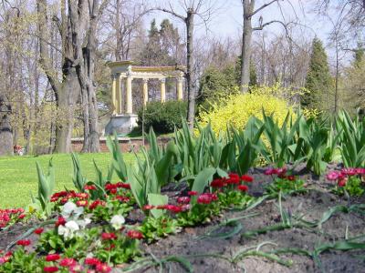 u43/ofergelles/medium/28269575.royalpalaceinlublin.jpg