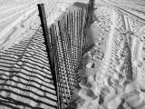 Beach Fence <br> by pat scales