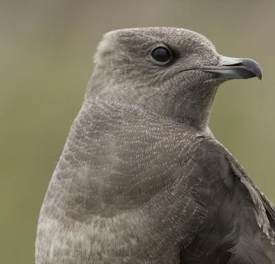 CRW_5168.jpg