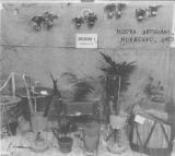 morbegno 1953 - mostra artigiani