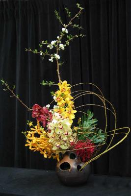 Arrange4944w.jpg