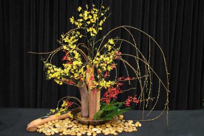 Arrange4945w.jpg