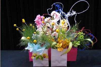 Arrange4995w.jpg
