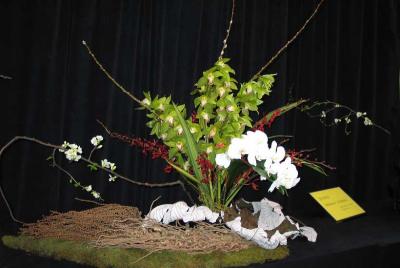 Arrange5005w.jpg