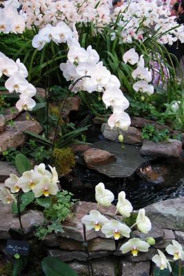 Cascade5036w.jpg