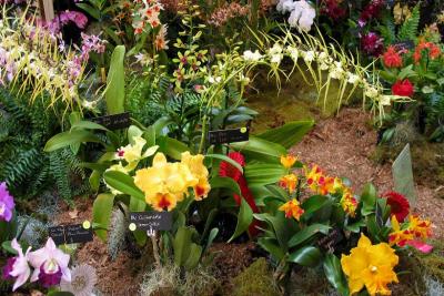 GardenPath4867w.jpg