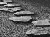 Zen Garden Stepping Stones