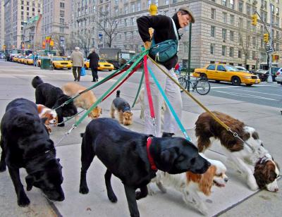 Dog Walker - M. Jardine