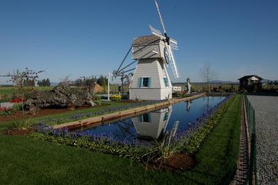 Windmill Reflections by Steve O