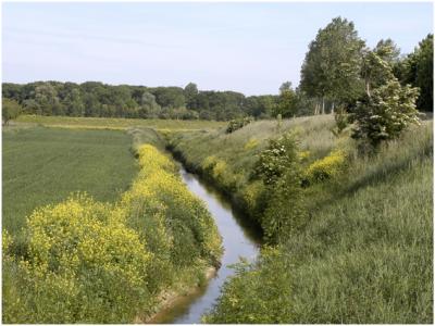u43/peterfree/medium/39682346.DeUrbijOudUrmond.jpg