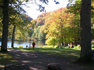 DSCN0395.jpg