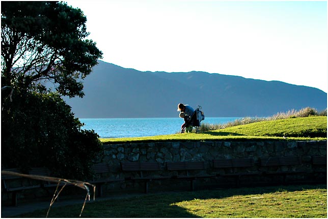 Paraparaumu Beach