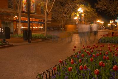 Evening Stroll (Pearl Street Mall)