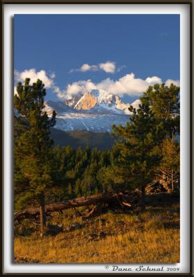 u43/photodane/medium/34285551.20040926RMNPaspens0003Longs.jpg