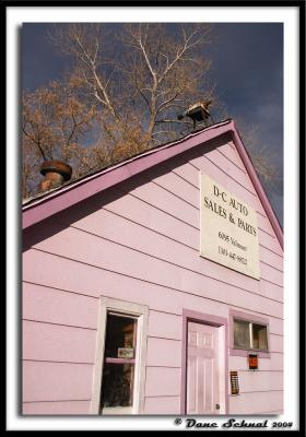Pink Garage
