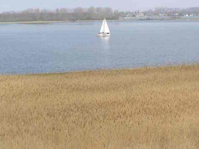 Zeeland NL