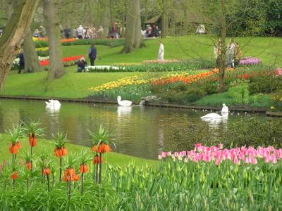 Keukenhof