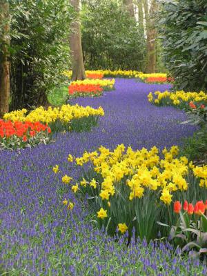 Keukenhof